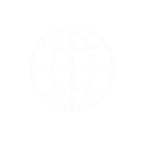 NGOs and international organizations icon
